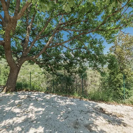 La Vecchia Quercia Marmi